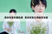 竞价托管文案伤感  竞价托管公司操作流程