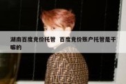 湖南百度竞价托管  百度竞价账户托管是干嘛的