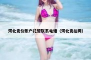 河北竞价账户托管联系电话（河北竞拍网）