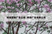 网络营销广告公司  网络广告有限公司