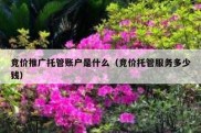 竞价推广托管账户是什么（竞价托管服务多少钱）