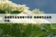 美国餐饮业加盟哪个好点  美国餐饮企业排行榜