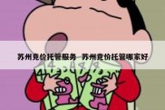 苏州竞价托管服务  苏州竞价托管哪家好