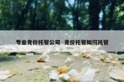 专业竞价托管公司  竞价托管如何托管