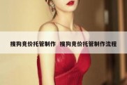 搜狗竞价托管制作  搜狗竞价托管制作流程