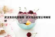 武汉竞价托管服务  武汉竞价托管公司哪家好