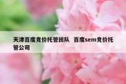 天津百度竞价托管团队  百度sem竞价托管公司