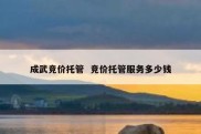 成武竞价托管  竞价托管服务多少钱