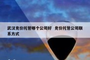 武汉竞价托管哪个公司好  竞价托管公司联系方式