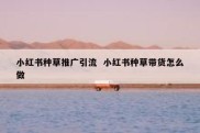小红书种草推广引流  小红书种草带货怎么做