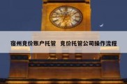 宿州竞价账户托管  竞价托管公司操作流程
