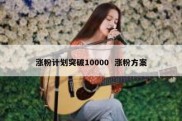 涨粉计划突破10000  涨粉方案