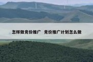 怎样做竞价推广  竞价推广计划怎么做