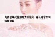 竞价管理托管服务方案范文  竞价托管公司操作流程