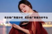 竞价推广数据分析  竞价推广数据分析平台