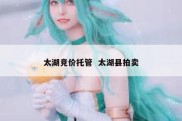 太湖竞价托管  太湖县拍卖
