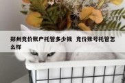 郑州竞价账户托管多少钱  竞价账号托管怎么样
