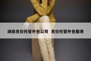 湖南竞价托管外包公司  竞价托管外包服务