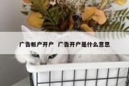 广告帐户开户  广告开户是什么意思