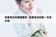 百度竞价托管哪里好  百度竞价托管一月多少钱