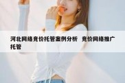 河北网络竞价托管案例分析  竞价网络推广托管