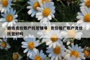 廊坊竞价账户托管辅导  竞价推广账户竞价托管好吗