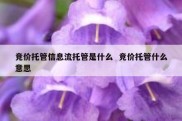 竞价托管信息流托管是什么  竞价托管什么意思