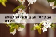 青海度竞价账户托管  竞价推广账户竞价托管多少钱