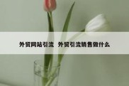 外贸网站引流  外贸引流销售做什么