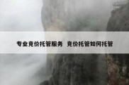 专业竞价托管服务  竞价托管如何托管