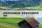 武昌竞价代运营托管  武昌竞价代运营托管机构