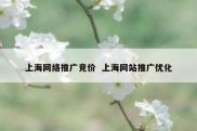 上海网络推广竞价  上海网站推广优化
