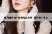 搜狗竞价推广托管专业公司  搜狗推广中心