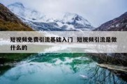 短视频免费引流基础入门  短视频引流是做什么的