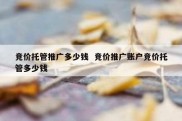 竞价托管推广多少钱  竞价推广账户竞价托管多少钱
