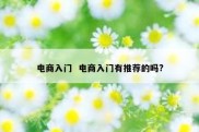 电商入门  电商入门有推荐的吗?