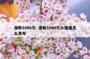 涨粉1000万  涨粉1000万小猪猪怎么发布