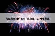专业竞价推广公司  竞价推广公司哪家强