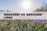 龙岗竞价托管推广公司  龙岗竞价托管推广公司电话