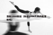 涨粉1000粉丝（粉丝1000万真的能涨粉吗）