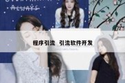 程序引流  引流软件开发
