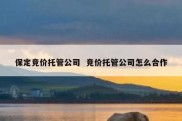 保定竞价托管公司  竞价托管公司怎么合作