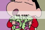 引流  引流推广