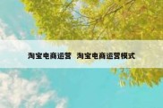 淘宝电商运营  淘宝电商运营模式