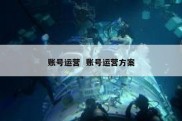 账号运营  账号运营方案