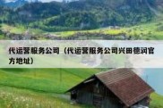 代运营服务公司（代运营服务公司兴田德润官方地址）