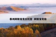 泰州网销宝竞价托管  网销宝竞拍
