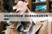湖北竞价托管运营  湖北竞价托管运营公司排名