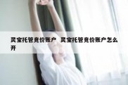 灵宝托管竞价账户  灵宝托管竞价账户怎么开