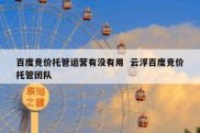 百度竞价托管运营有没有用  云浮百度竞价托管团队